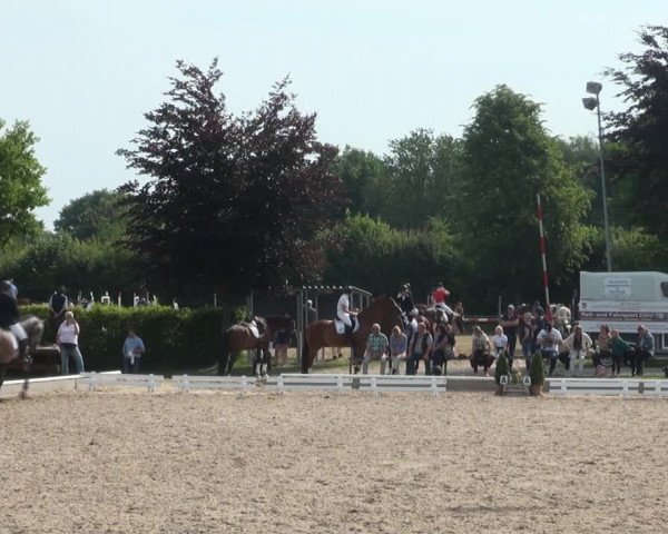 Reitturnier Fröndenberg 2017