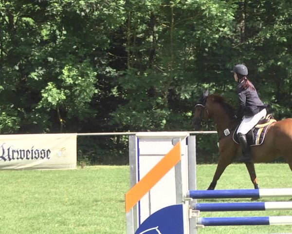 Reitturnier Leingarten 2017
