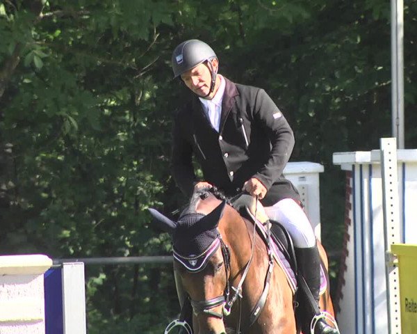 Reitturnier Leingarten 2017