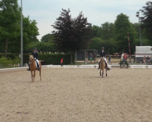 Reitturnier Fröndenberg 2017