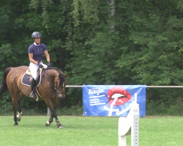 Reitturnier Leingarten 2017