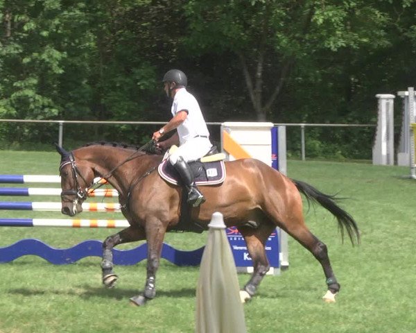 Reitturnier Leingarten 2017