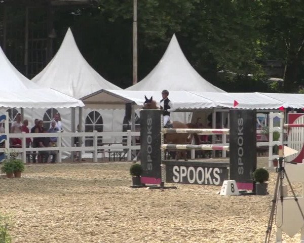 Reitturnier Köln-Weidenpesch Equorius 2017