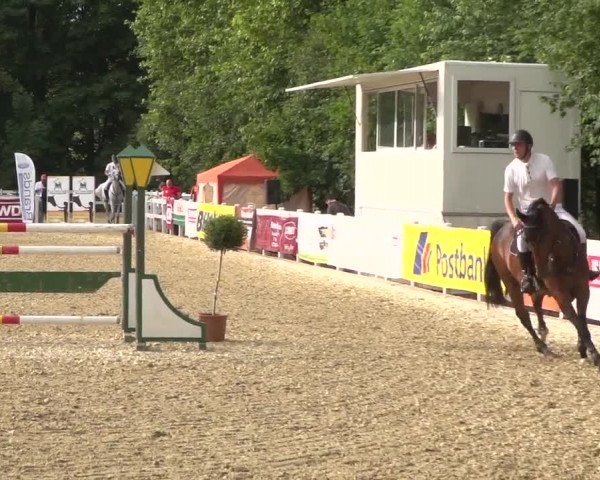 Reitturnier Köln-Weidenpesch Equorius 2017