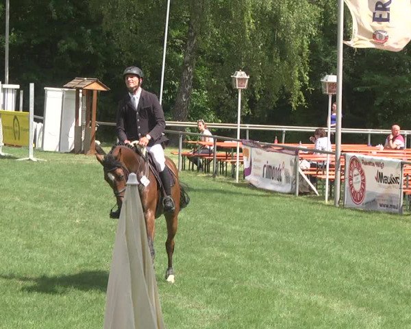 Reitturnier Leingarten 2017