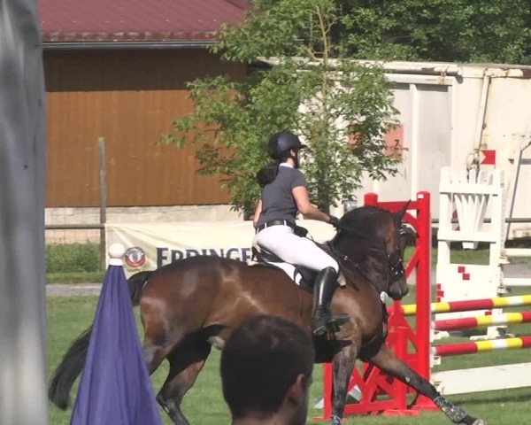 Reitturnier Leingarten 2017