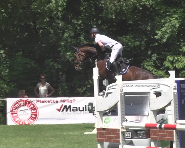 Reitturnier Leingarten 2017