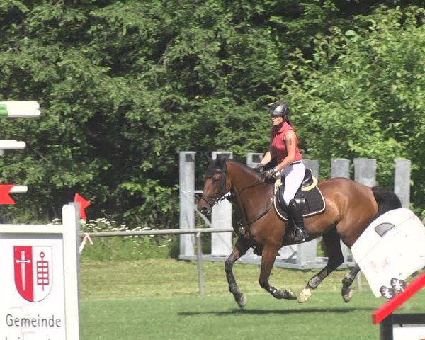 Reitturnier Leingarten 2017