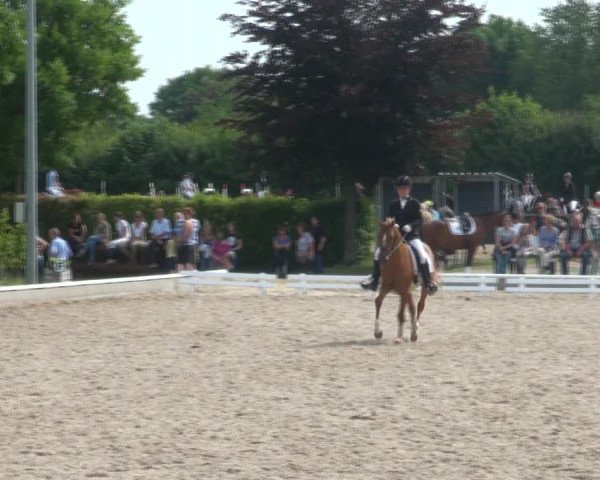 Reitturnier Fröndenberg 2017