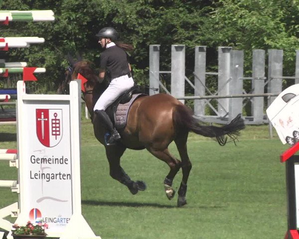 Reitturnier Leingarten 2017