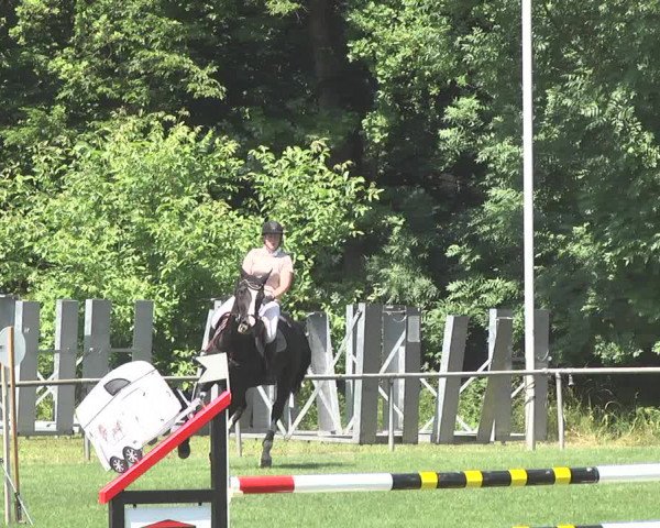 Reitturnier Leingarten 2017