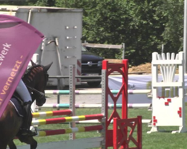 Reitturnier Leingarten 2017
