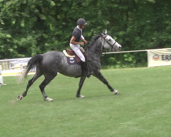 Reitturnier Leingarten 2017