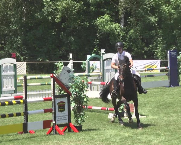 Reitturnier Leingarten 2017