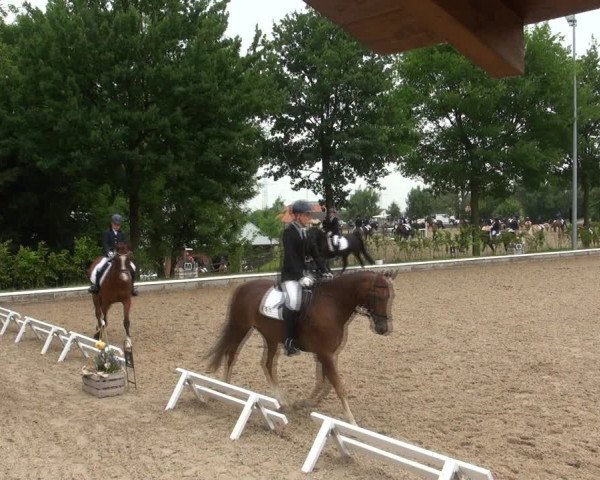 Reitturnier Fröndenberg 2017