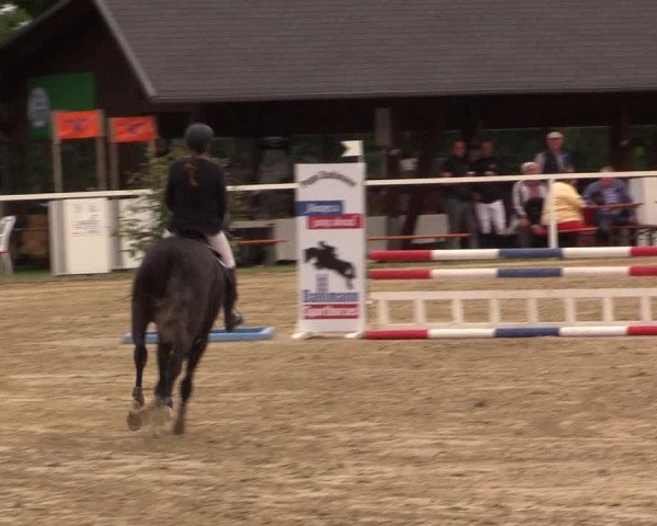 Reitturnier Fröndenberg 2017