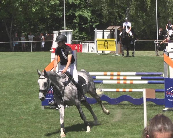 Reitturnier Leingarten 2017