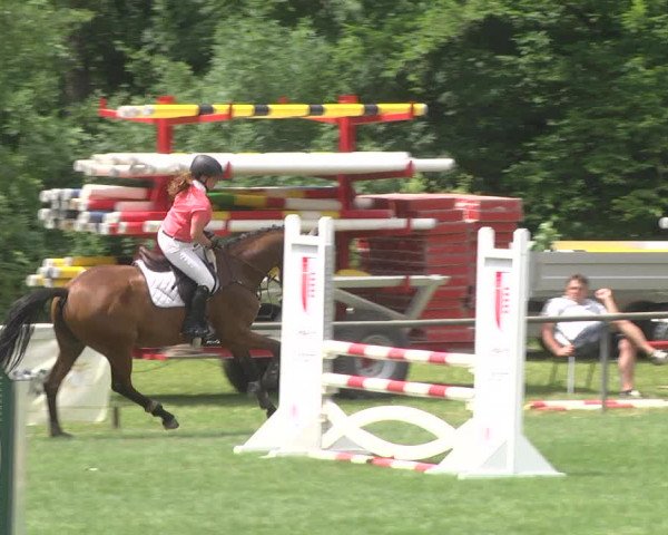 Reitturnier Leingarten 2017