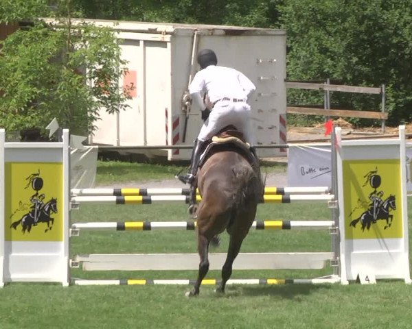Reitturnier Leingarten 2017