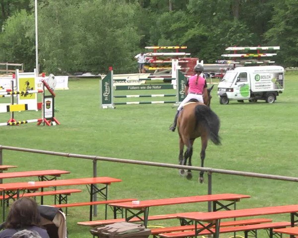 Reitturnier Leingarten 2017
