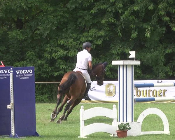 Reitturnier Leingarten 2017