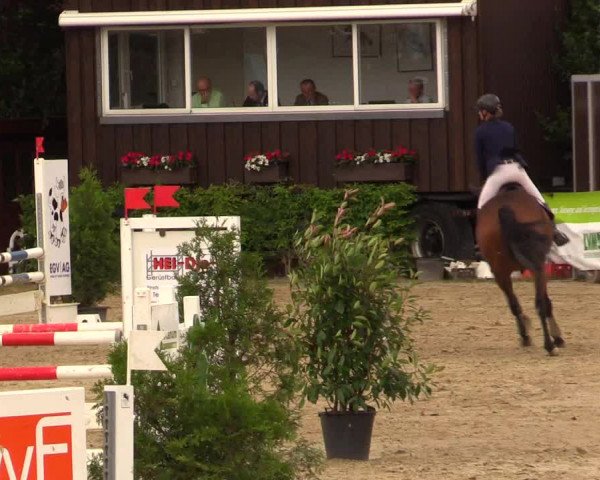 Reitturnier Fröndenberg 2017