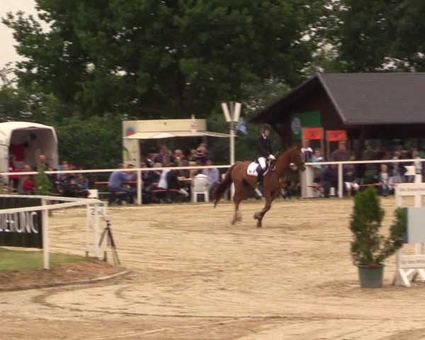 Reitturnier Fröndenberg 2017
