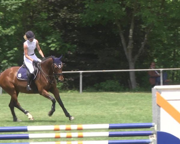 Reitturnier Leingarten 2017