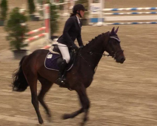 Reitturnier Fröndenberg 2017