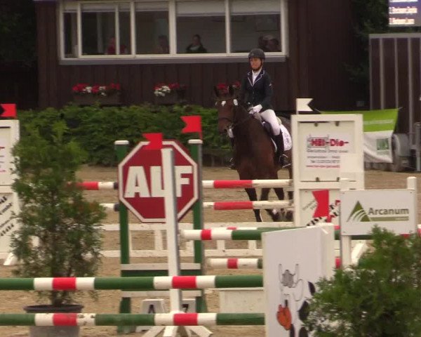 Reitturnier Fröndenberg 2017
