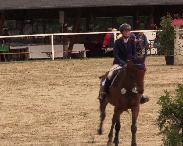 Reitturnier Fröndenberg 2017