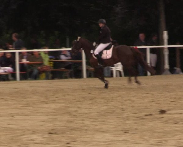 Reitturnier Fröndenberg 2017