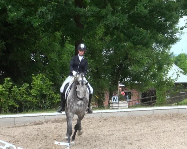 Reitturnier Fröndenberg 2017