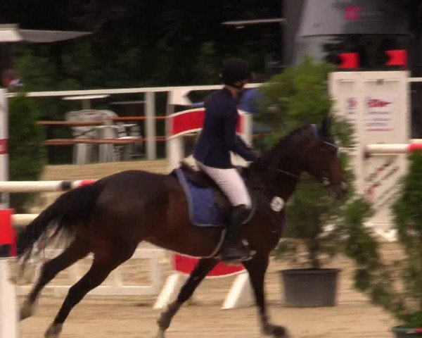 Reitturnier Fröndenberg 2017