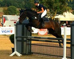 jumper Queensberry 27 (Hanoverian, 2010, from Quintender 2)