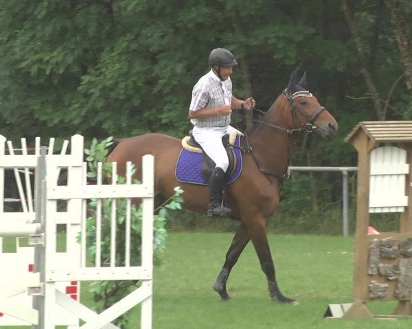 Reitturnier Leingarten 2017
