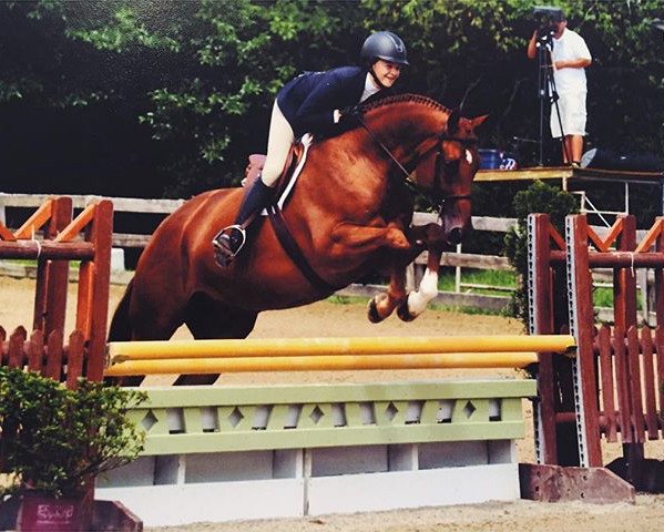 jumper Comte Rouge (Hanoverian, 2009, from Comte)