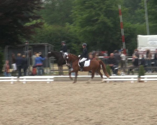 Reitturnier Fröndenberg 2017