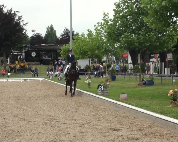 Reitturnier Fröndenberg 2017