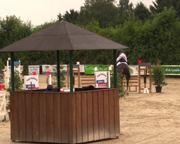 Reitturnier Fröndenberg 2017