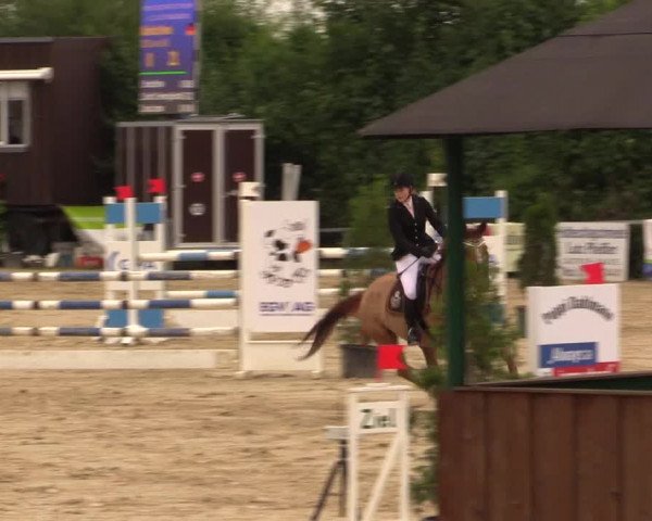 Reitturnier Fröndenberg 2017