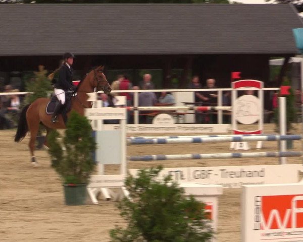 Reitturnier Fröndenberg 2017