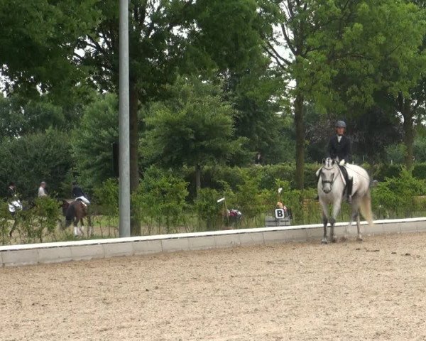 Reitturnier Fröndenberg 2017