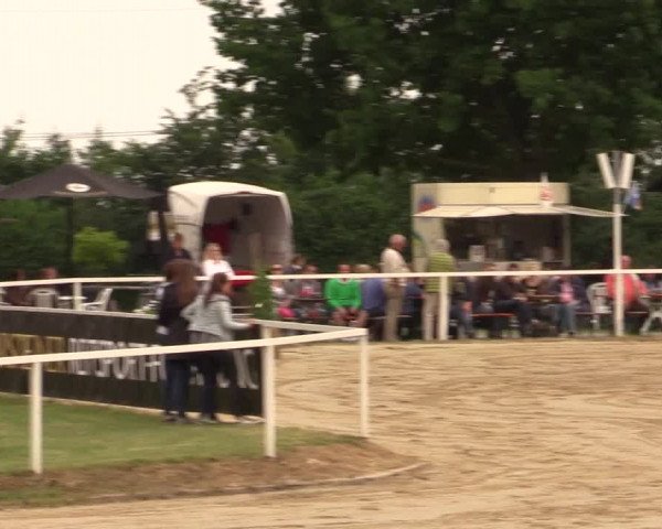 Reitturnier Fröndenberg 2017
