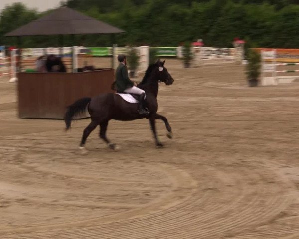 Reitturnier Fröndenberg 2017