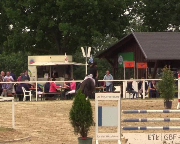 Reitturnier Fröndenberg 2017