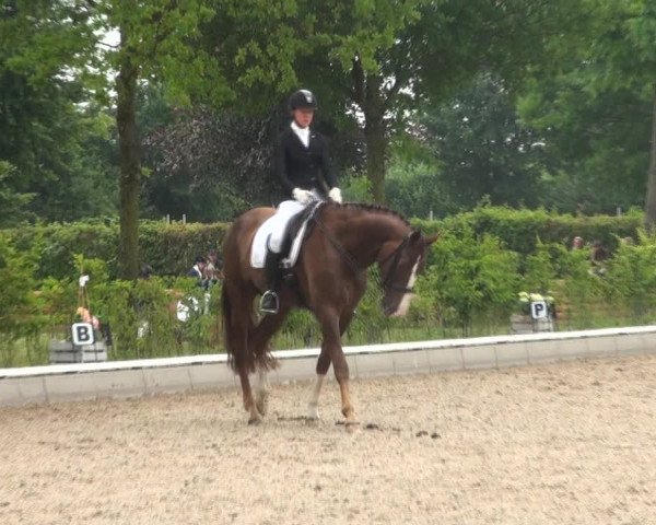 Reitturnier Fröndenberg 2017