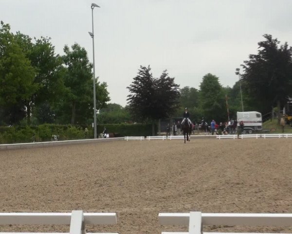 Reitturnier Fröndenberg 2017