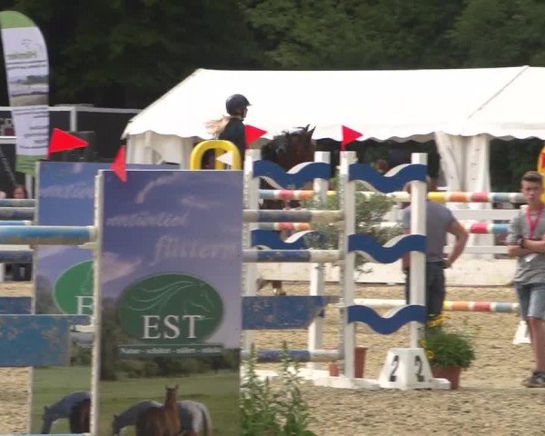 Reitturnier Köln-Weidenpesch Equorius 2017