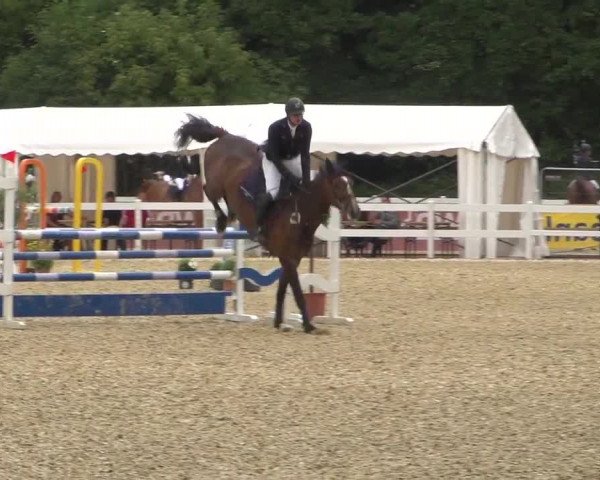 Reitturnier Köln-Weidenpesch Equorius 2017